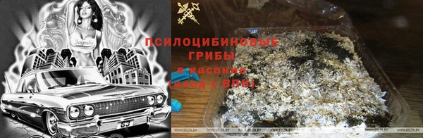 каннабис Аркадак