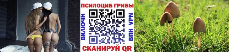 даркнет сайт  ссылка на мегу ONION  Галлюциногенные грибы GOLDEN TEACHER  Чудово 
